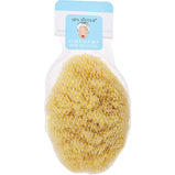 SPA ACCESSORIES by Spa Accessories (UNISEX) - NATURAL YELLOW SEA SPONGE - LARGE