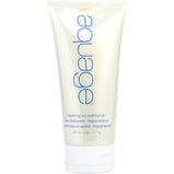 AQUAGE by Aquage (UNISEX) - HEALING CONDITIONER 6 OZ