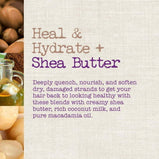 Maui Moisture Heal & Hydrate + Shea Butter Shampoo to Deeply Moisturize Tight Curly Hair, 13 fl oz