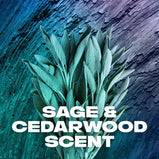 AXE Body Wash Apollo Sage & Cedarwood Men's Shower Gel, 32 oz
