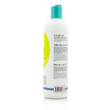 DEVACURL - No-Poo Decadence (Zero Lather Ultra Moisturizing Milk Cleanser - For Super Curly Hair) 1005 355ml/12oz