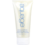 AQUAGE by Aquage HEALING CONDITIONER 6 OZ