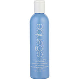 AQUAGE by Aquage COLOR PROTECTING CONDITIONER 8 OZ