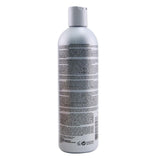 CHI - Ionic Color Illuminate Shampoo - # Silver Blonde CHICISBS12/818978 355ml/12oz